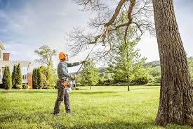 Best Aeration Services  in Oak Ridge, TN