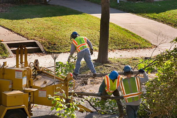 Best Organic Lawn Care Solutions  in Oak Ridge, TN